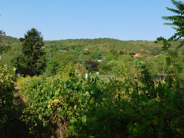 Eladó nyaraló, Balatongyörökön 24.5 M Ft, 1 szobás