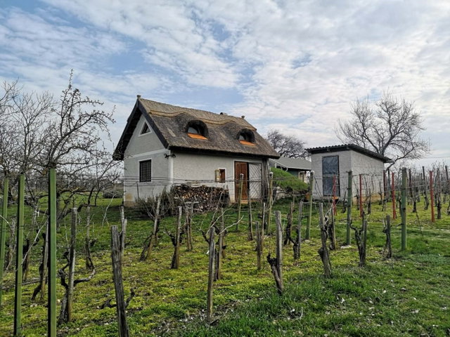Eladó telek, Veszprémben 19.9 M Ft / költözzbe.hu