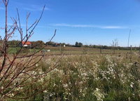 Eladó telek, Balatonendréden 18 M Ft / költözzbe.hu