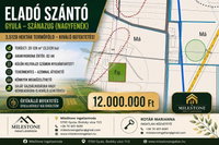 Eladó mezogazdasagi ingatlan, Gyulán 12 M Ft