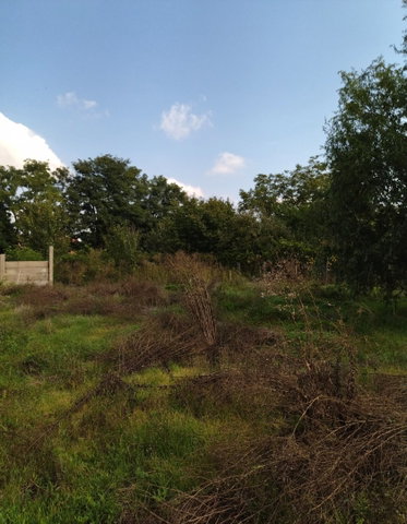 Eladó telek, Eleken, Erkel Ferenc utcában 1.375 M Ft