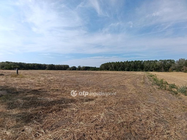 Eladó mezogazdasagi ingatlan, Pusztamérgesen 23.7 M Ft