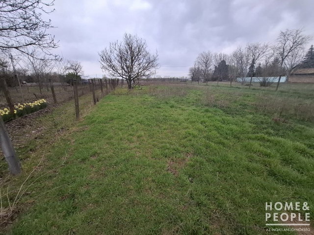 Eladó mezogazdasagi ingatlan, Szatymazon 11.2 M Ft