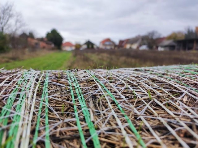 Eladó telek, Gödöllőn, Röges utcában 350 M Ft
