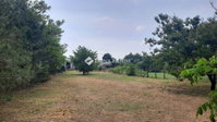 Eladó családi ház, Hernádon 85 M Ft, 5 szobás
