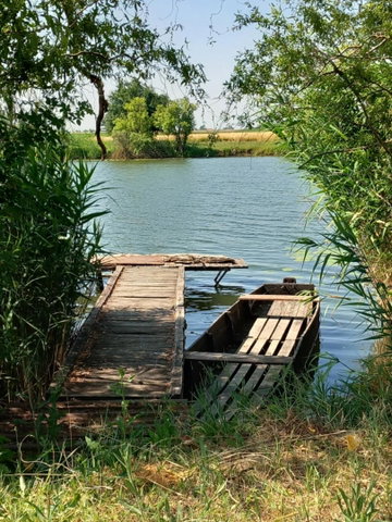 Eladó nyaraló, Békésszentandráson 120 M Ft, 1 szobás