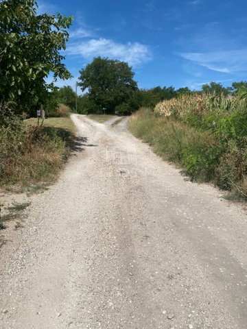 Eladó mezogazdasagi ingatlan, Nagyigmándon 79.9 M Ft