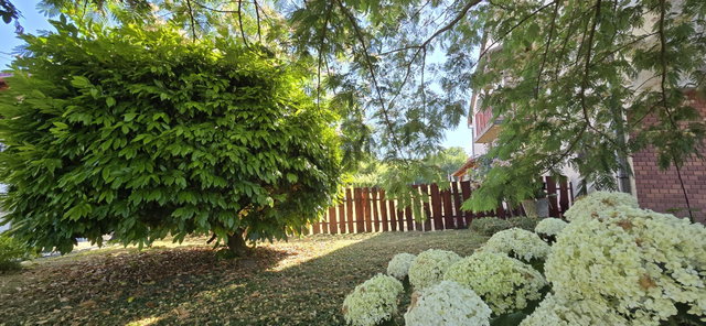 Eladó családi ház, Gyönkön 49.9 M Ft, 4 szobás