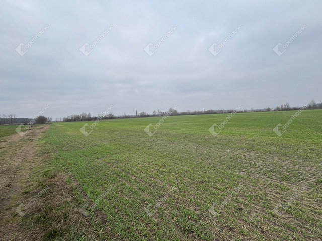 Eladó telek, Csévharaszton 90 M Ft / költözzbe.hu