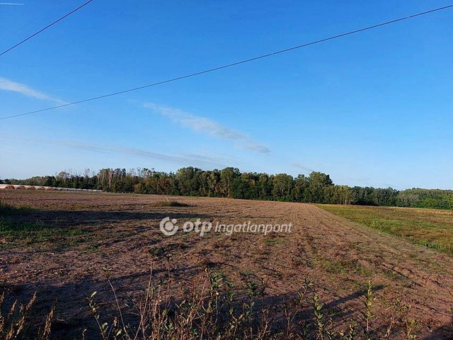 Eladó mezogazdasagi ingatlan, Ópusztaszeren 2.9 M Ft