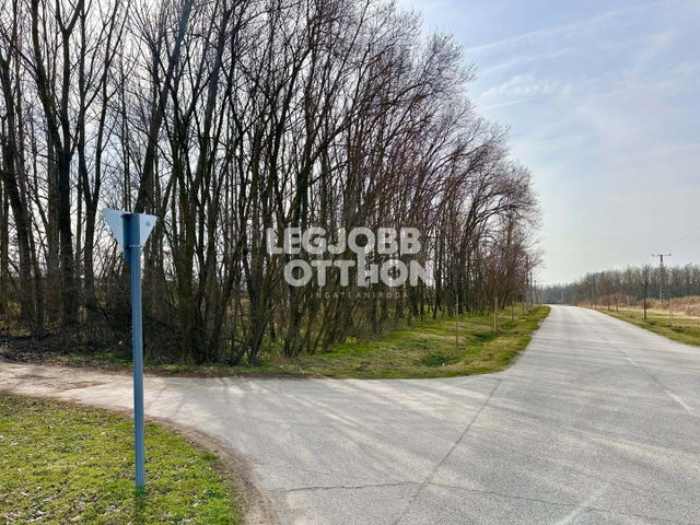 Eladó telek, Cegléden 60 M Ft / költözzbe.hu