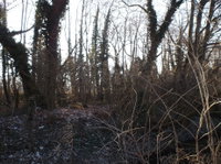 Eladó mezogazdasagi ingatlan, Pápasalamonon 6.4 M Ft