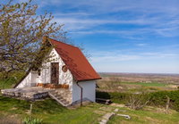Eladó mezogazdasagi ingatlan, Szekszárdon 10.5 M Ft