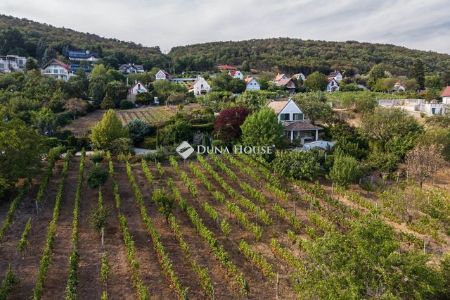Eladó családi ház, Csopakon 529 M Ft, 5 szobás