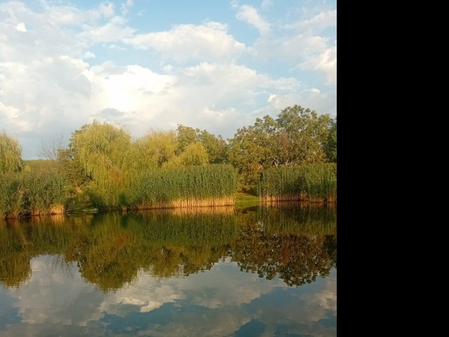 Eladó nyaraló, Gyomaendrődön, Hantoskerti úton 34.9 M Ft