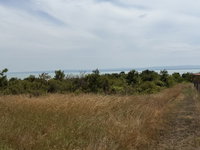 Eladó telek, Balatonszepezden 43 M Ft / költözzbe.hu