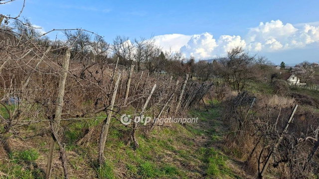 Eladó telek, Hegymagason 30 M Ft / költözzbe.hu