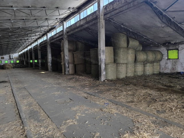 Eladó ipari ingatlan, Rákóczifalván 250 M Ft, 1 szobás