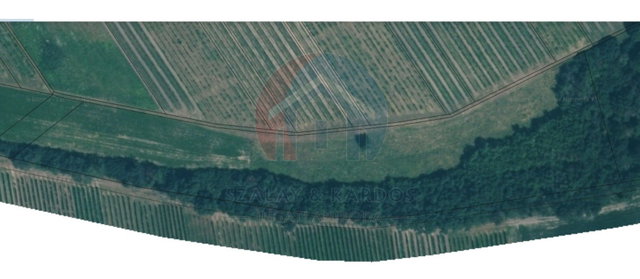 Eladó telek, Harkán 10.6 M Ft / költözzbe.hu