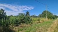 Eladó telek, Győrött 49.9 M Ft / költözzbe.hu