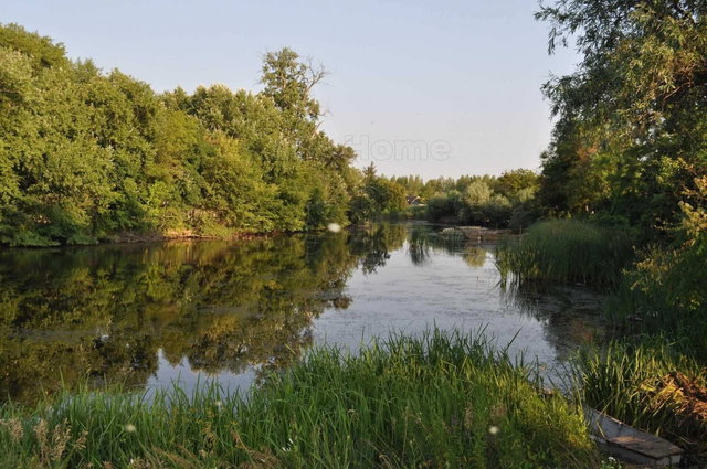 Eladó mezogazdasagi ingatlan, Püskin 35 M Ft