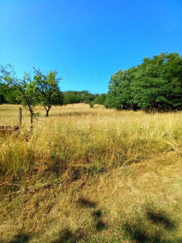 Eladó mezogazdasagi ingatlan, Siófokon 13.8 M Ft