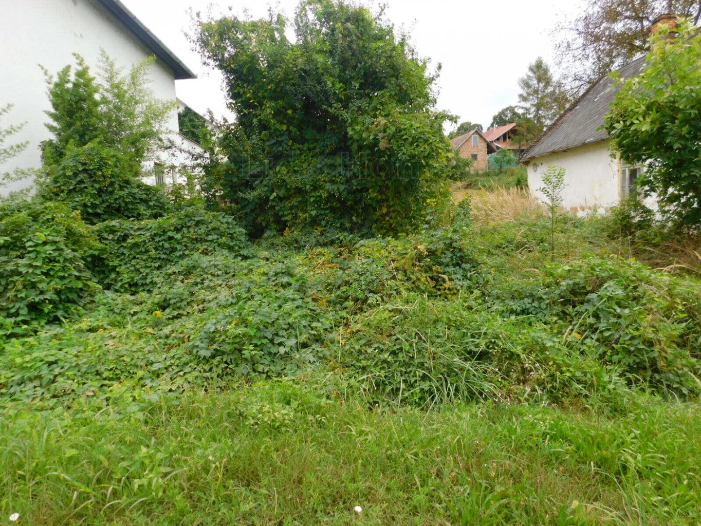600 m² · 4.200.000 Ft