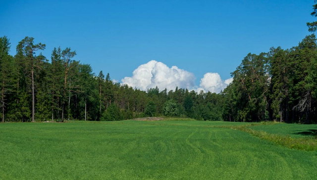 Eladó mezogazdasagi ingatlan, Kiskunhalason 24.99 M Ft