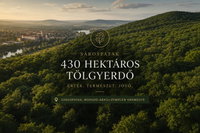 Eladó ipari ingatlan, Sárospatakon 3520 M Ft