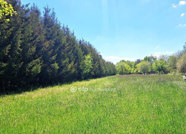 Eladó telek, Szalafőn 30 M Ft / költözzbe.hu