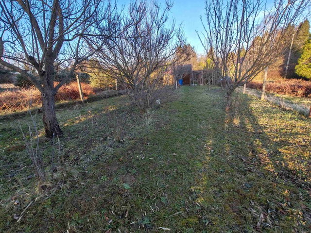 Eladó mezogazdasagi ingatlan, Galambokon 5.5 M Ft, 1 szobás