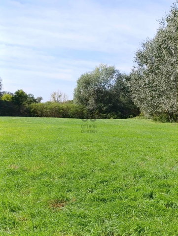 Eladó mezogazdasagi ingatlan, Körösnagyharsányban 14.9 M Ft