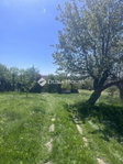Eladó családi ház, Mánfán 18.5 M Ft, 3 szobás