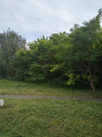 Eladó telek, Kaposfőn 5.5 M Ft / költözzbe.hu