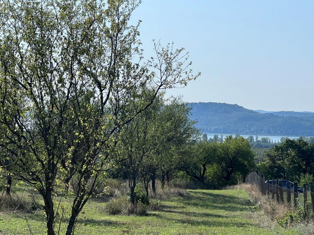 Eladó mezogazdasagi ingatlan, Balatonfüreden 39 M Ft