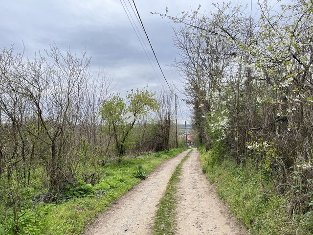 Eladó telek, Bagon, Szőlő utcában 5 M Ft / költözzbe.hu