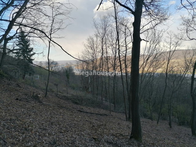 Eladó telek, Nagymaroson 23 M Ft / költözzbe.hu
