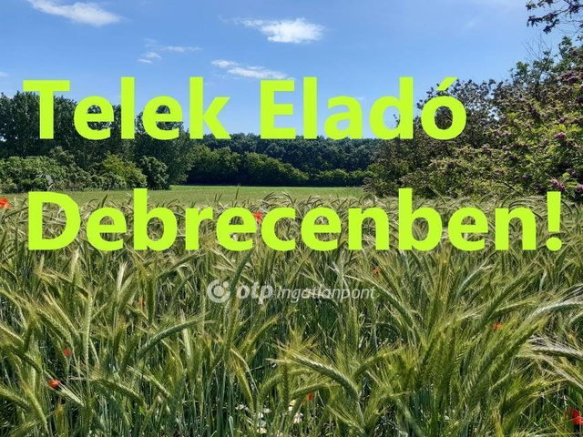 Eladó mezogazdasagi ingatlan, Debrecenben 31 M Ft