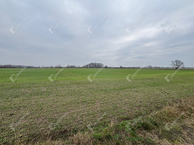 Eladó telek, Csévharaszton 90 M Ft / költözzbe.hu