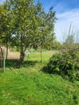 Eladó telek, Székesfehérvárott 6.5 M Ft / költözzbe.hu