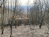 Eladó telek, Verőcén 49.9 M Ft / költözzbe.hu