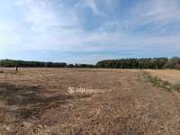 Eladó mezogazdasagi ingatlan, Pusztamérgesen 23.7 M Ft