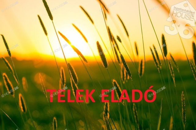 Eladó telek, Kecskeméten 34.9 M Ft / költözzbe.hu