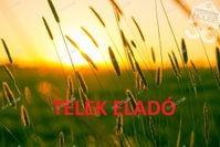 Eladó telek, Kecskeméten 34.9 M Ft / költözzbe.hu