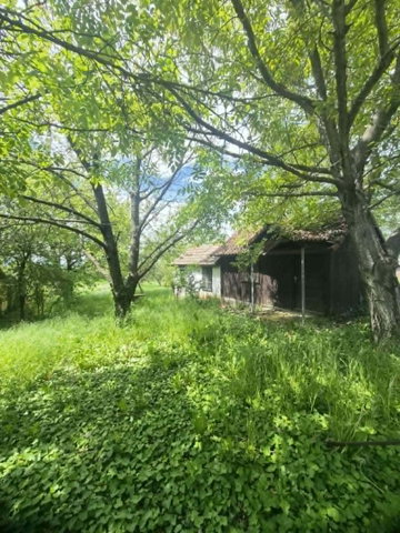 Eladó mezogazdasagi ingatlan, Szigetváron 1.9 M Ft