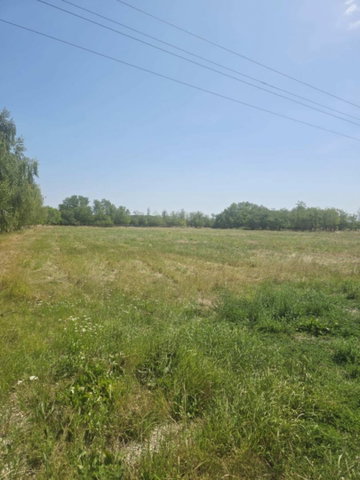Eladó mezogazdasagi ingatlan, Mosonmagyaróváron 76.99 M Ft