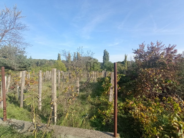 Eladó mezogazdasagi ingatlan, Monoron 4.5 M Ft