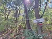 Eladó telek, Biatorbágyon 17 M Ft / költözzbe.hu