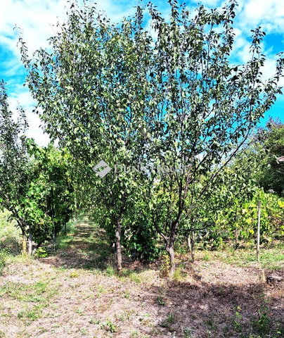 Eladó telek, Öskün 9.5 M Ft / költözzbe.hu