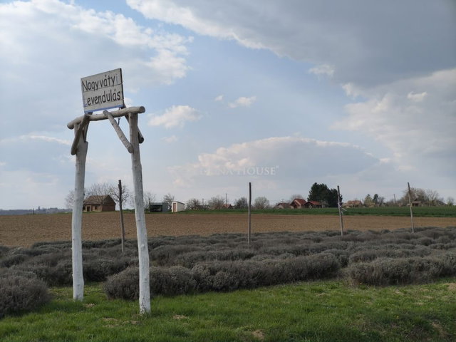 Eladó telek, Nagyvátyon 1.5 M Ft / költözzbe.hu